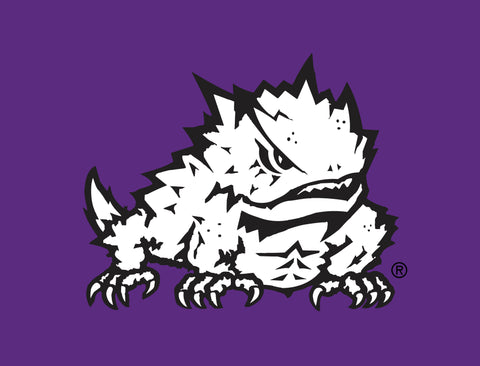 TCU Horned Frog Purple Yardsy Sign