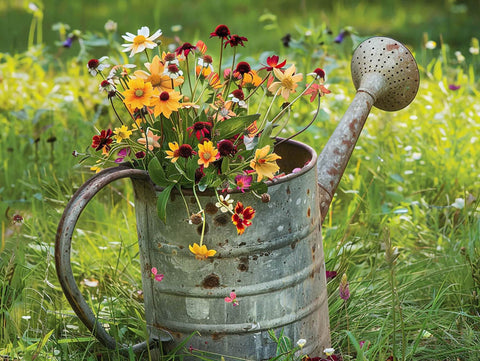 Any Can Will Do Wildflower Garden Print Yardsy Sign