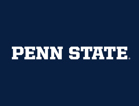 Penn State Wordmark Navy Yardsy Sign