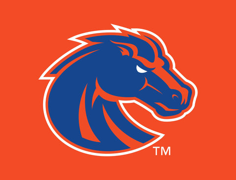 Boise State Broncos Primary Mark Orange Yardsy Sign