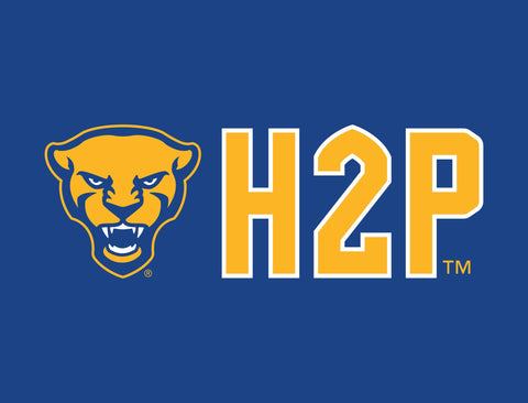 Pittsburgh Panther H2P Royal Yardsy Sign