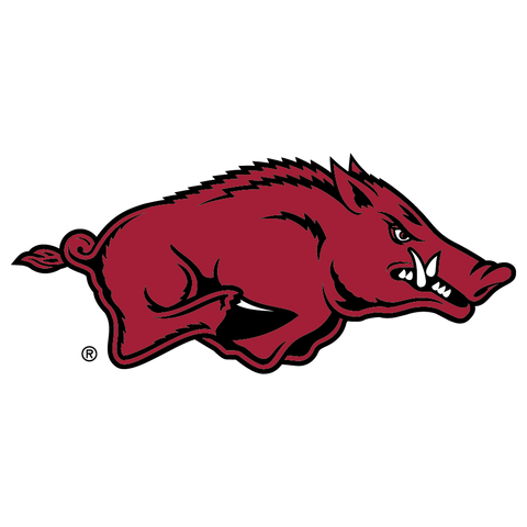 University of Arkansas