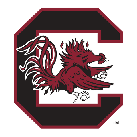 University of South Carolina