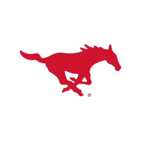 Southern Methodist University