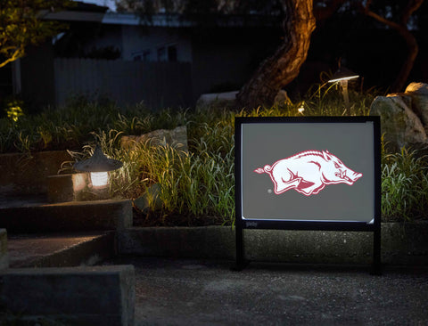 Arkansas Razorbacks White Anthracite Yardsy Sign - Flat Feet