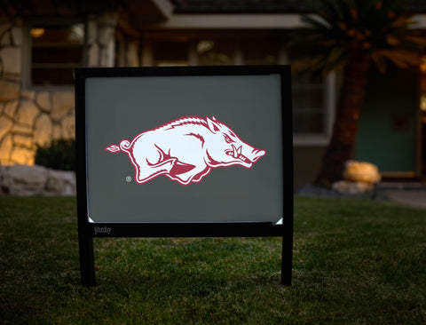 Arkansas Razorbacks White Anthracite Yardsy Sign - Hero