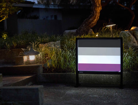 Asexual Pride Flag Yardsy Sign - Flat Feet