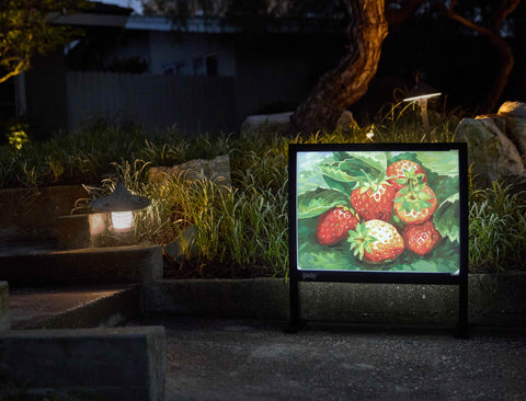 Berry Bounty Garden Decoration Yardsy Sign - Flat Feet