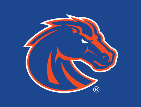 Boise State Broncos Primary Mark Blue Yardsy Sign
