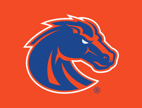 Boise State Broncos Primary Mark Orange Yardsy Sign