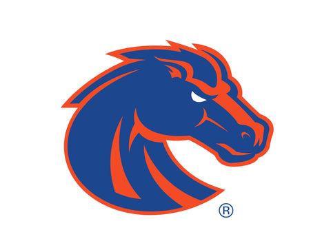 Boise State Broncos Primary Mark White Yardsy Sign