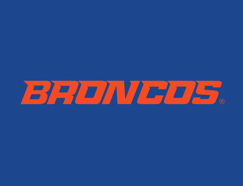 Boise State Broncos Wordmark Blue Yardsy Sign
