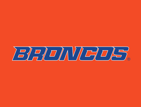 Boise State Broncos Wordmark Orange Yardsy Sign