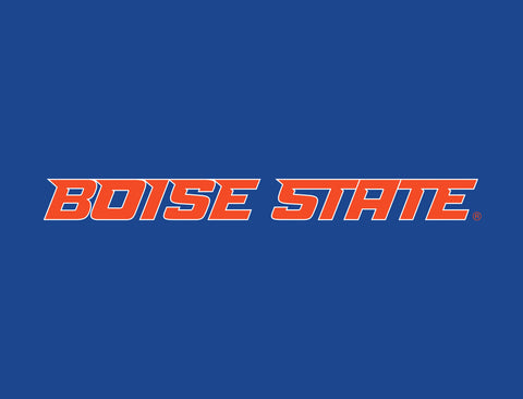 Boise State Wordmark Blue Yardsy Sign