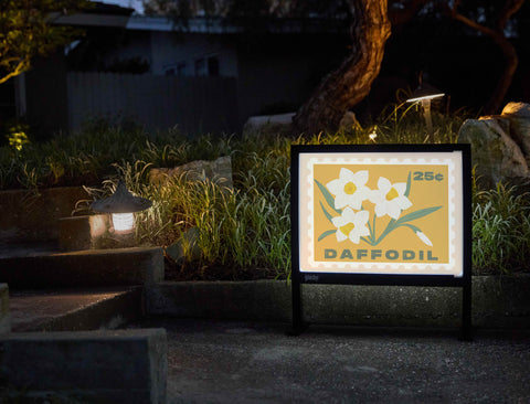 Daffodil Flower Stamp Yardsy Sign - Flat Feet