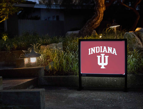 Indiana University IU Crimson Yardsy Sign - Flat Feet