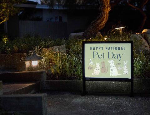 National Pet Day Yardsy Sign - Flat Feet
