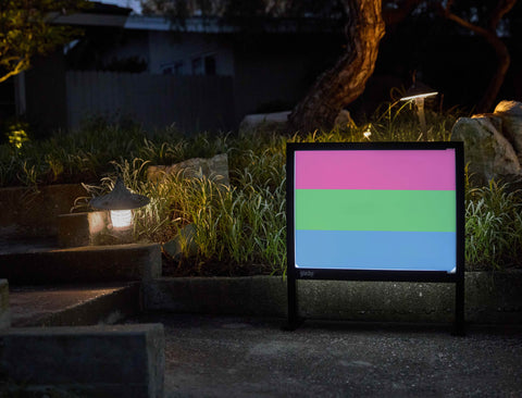 Polysexual Pride Flag Yardsy Sign - Flat Feet