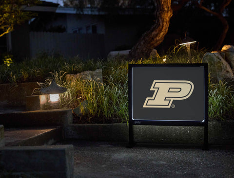 Purdue P Black Gold Yardsy Sign - Flat Feet