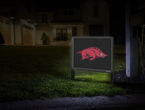 Arkansas Razorbacks Mascot Black Yardsy Sign