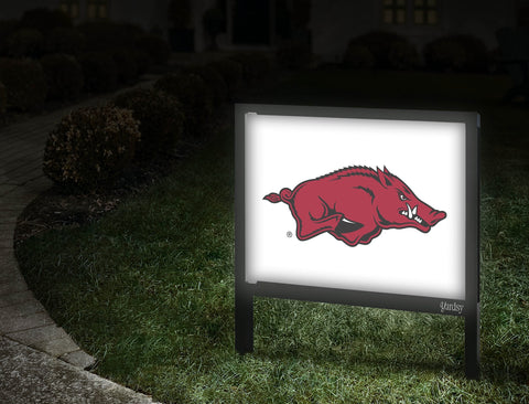 Arkansas Razorbacks White Yardsy Sign