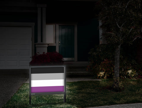 Asexual Pride Flag Front Door