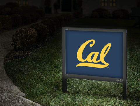 Berkeley Cal Blue Yardsy Sign Walkway