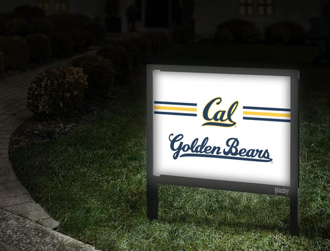 Berkeley Cal Golden Bears White Yardsy Sign Walkway