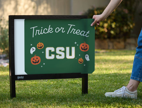 Colorado State Hanukkah Bundle (Inserts Only) — Yardsy Bundle