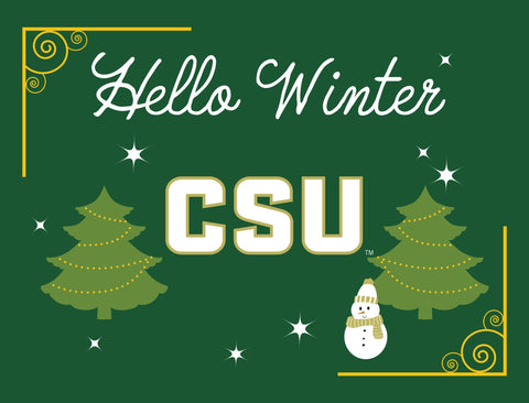 Colorado State Hello Winter Yardsy Sign yard sign