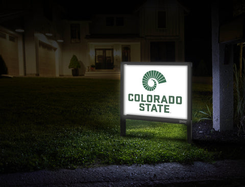 Colorado State Secondary Mark White Mailbox