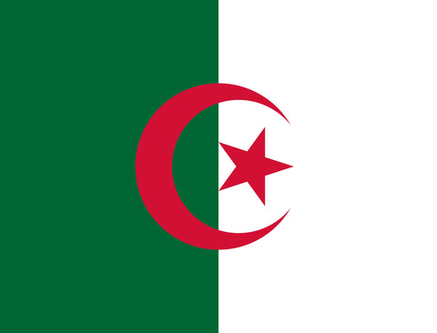 Flag Algeria Yardsy Sign yard sign