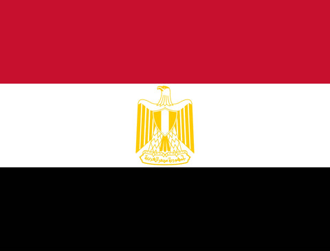 Flag Egypt Yardsy Sign yard sign