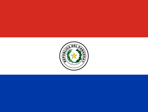 Flag Paraguay Yardsy Sign yard sign