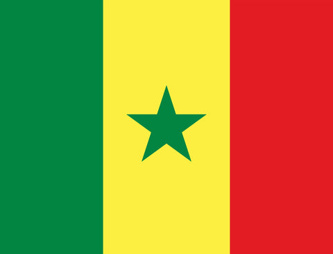 Flag Senegal Yardsy Sign yard sign