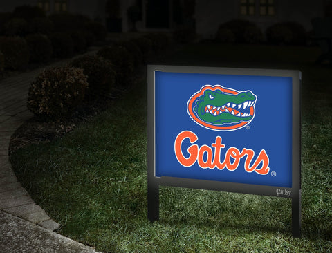 Florida Gators Wordmark Blue Walkway
