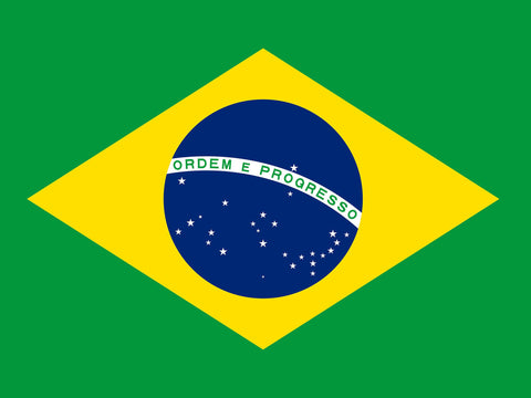 Flag Brazil Yardsy Sign