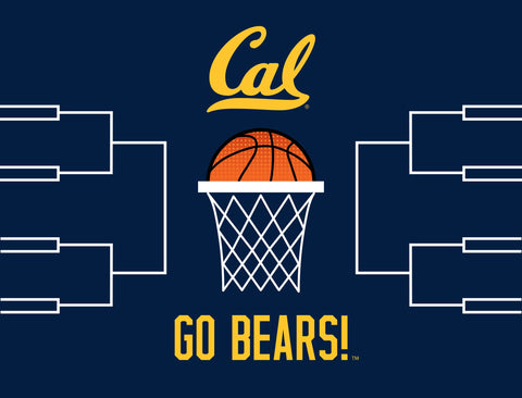 Berkeley Basketball Yardsy Sign