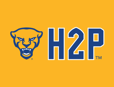 Pittsburgh Panther H2P University Gold Yardsy Sign