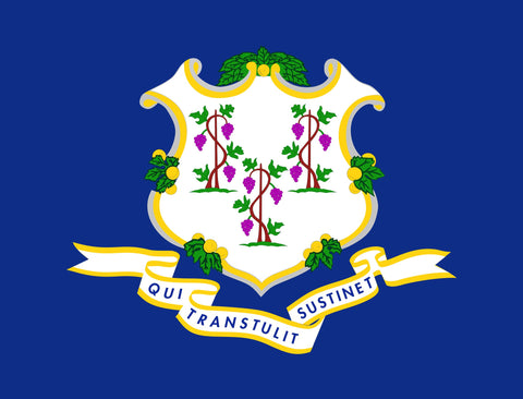 Connecticut State Flag Yardsy Sign