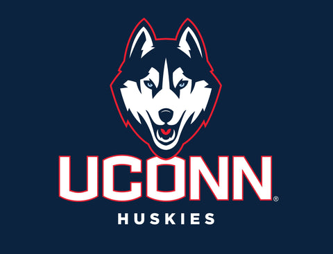 Huskies UConn Color Block Yardsy Sign