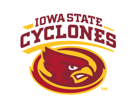 Iowa State Cyclones White Yardsy Sign