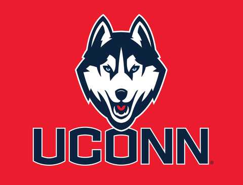 UConn Huskies Color Block Yardsy Sign