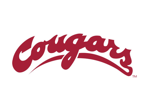 Washington State Cougars Wordmark White Yardsy Sign