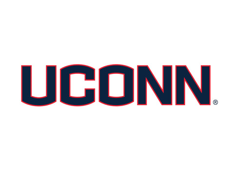 UConn Color Block Yardsy Sign