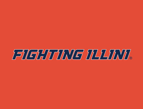 Illinois Fighting Illini Orange Yardsy Sign