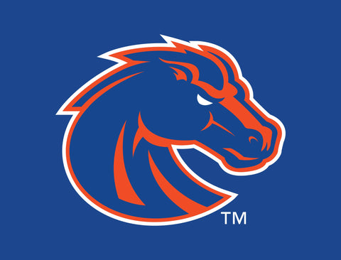 Boise State Broncos Primary Mark Blue Yardsy Sign
