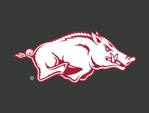 Arkansas Razorbacks White Anthracite Yardsy Sign