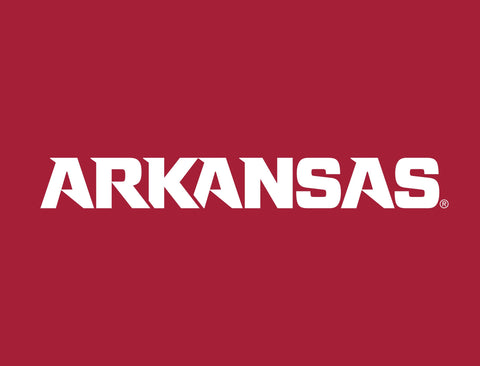 Arkansas Wordmark Cardinal Yardsy Sign