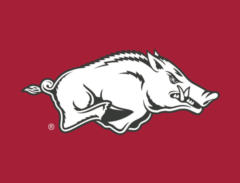 Arkansas Razorbacks White Cardinal Yardsy Sign